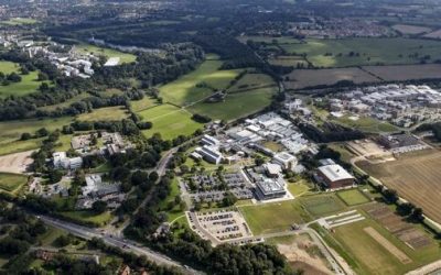 Research, Translation and Innovation Conference – Sept 2019