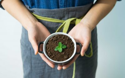 How R&D funding is driving the UK towards a low carbon future
