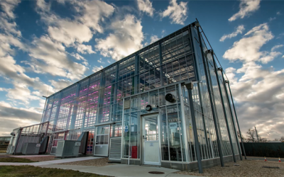 The Word on Everyone’s Lips: Sustainability