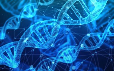Multi-million government investment in the future of UK science announced