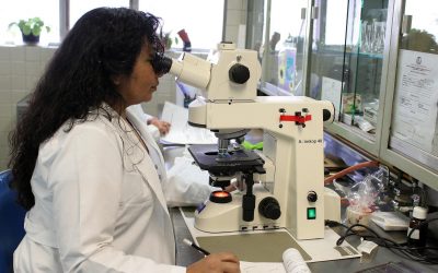 STEM Returners welcomed at the Defence Science and Technology Laboratory
