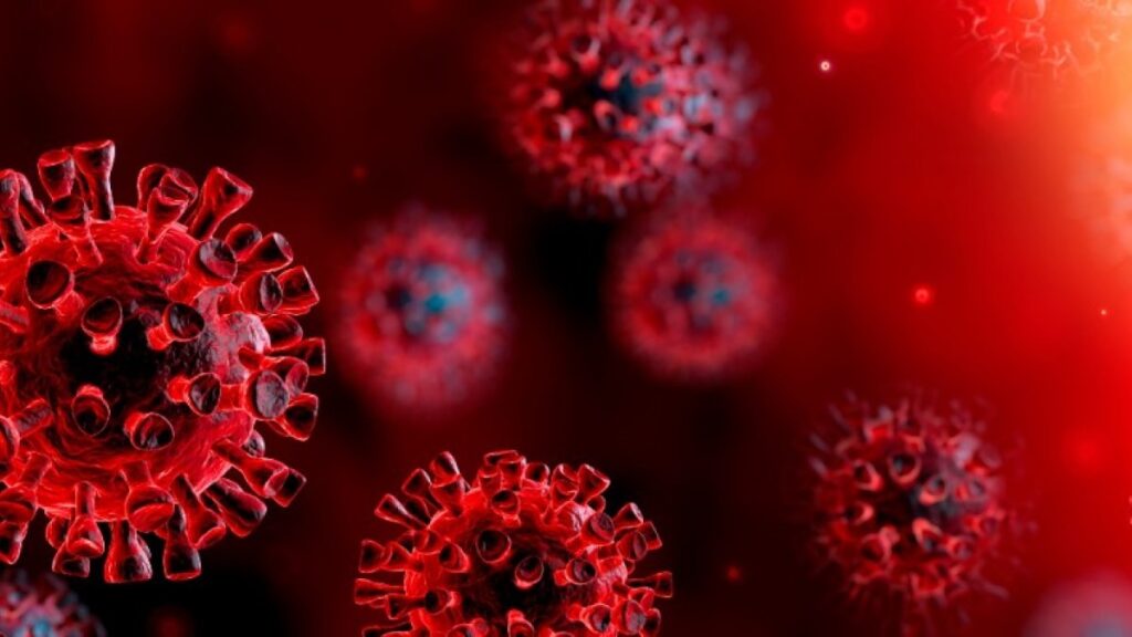SRP Image of coronavirus