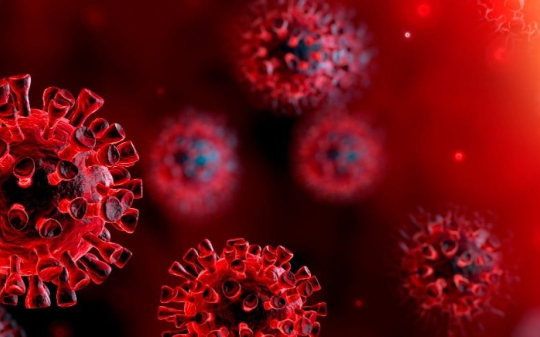 SRP Image of coronavirus