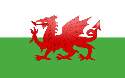 Welsh Government support for Microbusinesses