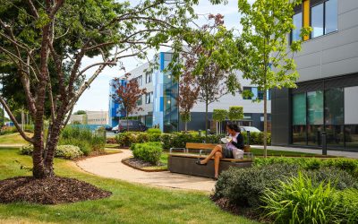 Access to Green Space and Workplace Wellbeing