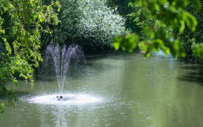 Biodiversity net gain: the benefits for science and business parks