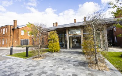 BASE Bordon Celebrates Growth of Their First Customer, Pivale, on 6th Anniversary