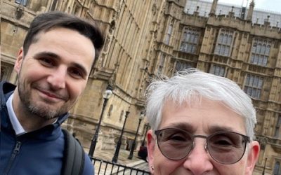 Director of OpTIC attends Welsh Affairs Committee panel session at Westminster