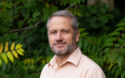 How An Act Of Parliament Has Transformed The Future Of Banana Technology In Norwich