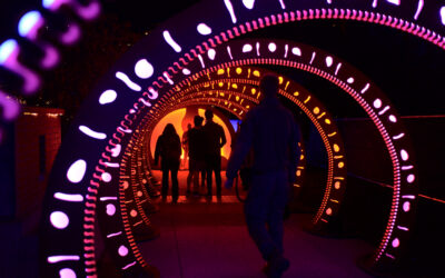 Body Comes to Harwell Campus: An Immersive Journey Through the Human Body